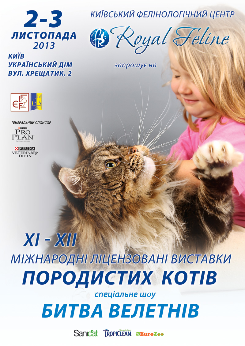 выставка котов киев украинский дом 2-3 ноября 2013